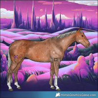 Horse Color:Silver Bay Tobiano