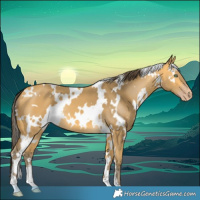 Horse Color:White Spotted Amber Cream Champagne 
