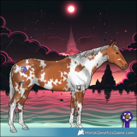 Horse Color:White Spotted Silver Bay 