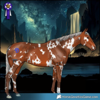 Horse Color:White Spotted Silver Bay 