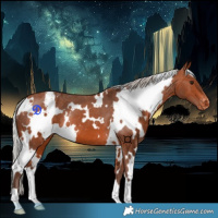 Horse Color:White Spotted Silver Brown Varnish 