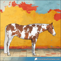 Horse Color:White Spotted Silver Bay Sabino