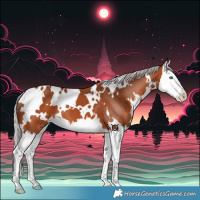 Horse Color:White Spotted Silver Bay Splash 