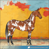 Horse Color:White Spotted Bay 