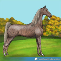 Horse Color:Chestnut Ice Mushroom 