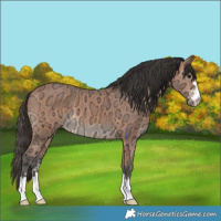 Horse Color:Bay Ice Mushroom 