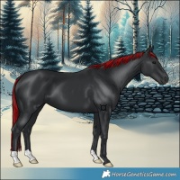 Horse Color:Painted Black 