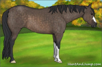 Horse Color:Brown Dun Brindle 