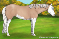 Horse Color:Silver Classic Champagne Roan Splash 
