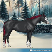 Horse Color:Painted Black 