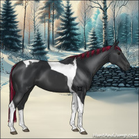 Horse Color:Painted Black Tobiano