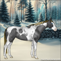 Horse Color:Painted Blue Roan Splash Tobiano 