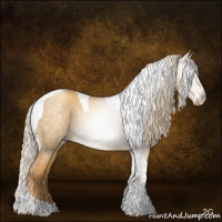 Horse Color:Gray Gold Cream Champagne Dun Tobiano 
