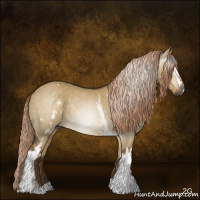 Horse Color:Gray White Spotted Chocolate Palomino Dun Rabicano 