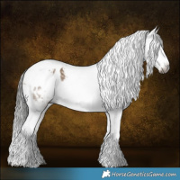 Horse Color:Gray Liver Red Dun Tobiano Frame Appaloosa 