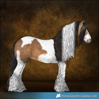 Horse Color:Gray Bay Dun Tobiano Frame 