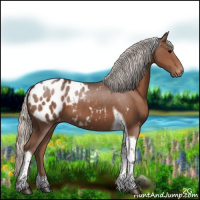 Horse Color:Silver Black Tobiano Appaloosa 