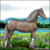Horse Color:Silver Black Tobiano 