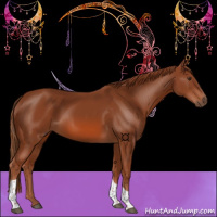 Horse Color:Chestnut Tobiano