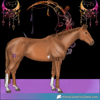 Horse Color:Chestnut Tobiano 