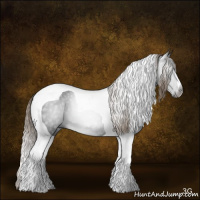 Horse Color:Gray Chocolate Palomino Tobiano 