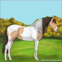 Horse Color:Amber Champagne Tobiano 