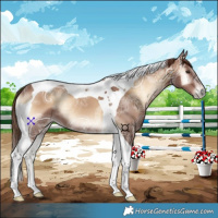 Horse Color:Red Onyx Ice Tobiano 