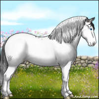 Horse Color:Grullo Splash Tobiano 