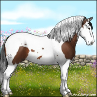 Horse Color:Bay Splash Tobiano 