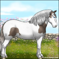 Horse Color:Silver Grullo Splash Tobiano 