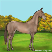 Horse Color:Black Pearl 