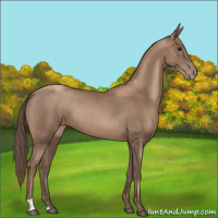Horse Color:Black Pearl 