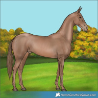 Horse Color:Black Pearl 