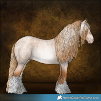 Horse Color:Gray White Spotted Gold Champagne Roan 