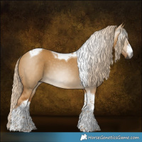 Horse Color:Gray White Spotted Palomino Dun Tobiano