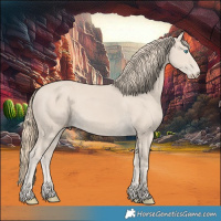 Horse Color:Smoky Creme 