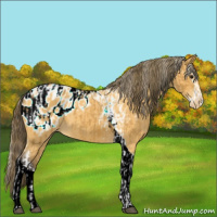 Horse Color:Silver Buckskin Splash Tobiano Blanket  and Buckskin Tobiano Blanket 