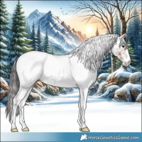 Horse Color:White Spotted Brown Ice