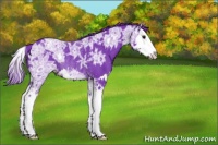 Horse Color:Watercolor Black Ice Splash Rabicano 