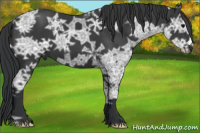 Horse Color:Black Ice 