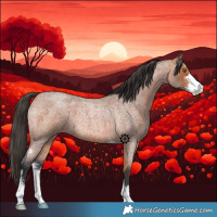 Horse Color:Bay Roan Sabino 