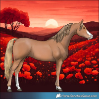 Horse Color:Chestnut Sabino