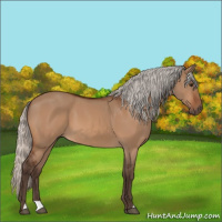 Horse Color:Silver Brown Dun 