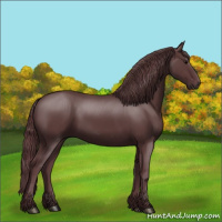 Horse Color:Chocolate Black