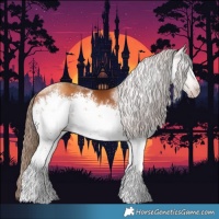 Horse Color:Gray White Spotted Gold Champagne 