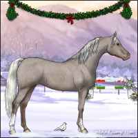 Horse Color:Liver Red Dun Mushroom Appaloosa Brindle 