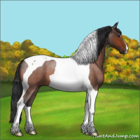 Horse Color:Brown Roan Tobiano 