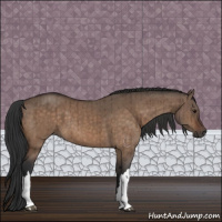 Horse Color:Bay Dun Brindle 