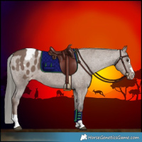 Horse Color:Liver Red Dun Mushroom Blanket Brindle 