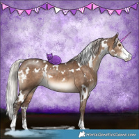 Horse Color:White Spotted Silver Brown Dun Sabino 
